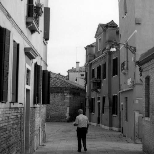 Venice 2023