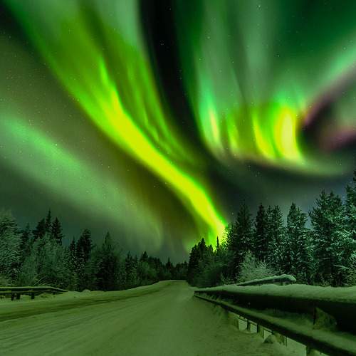 Photo #9890374