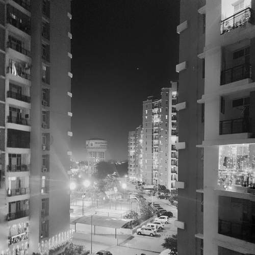 Photo #9890566