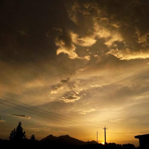 Photo #9890927