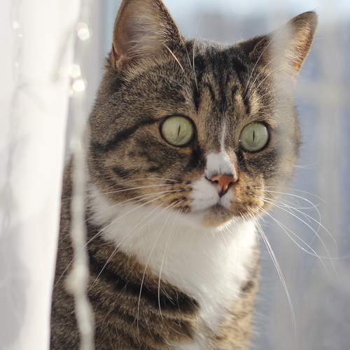 Photo #9890982