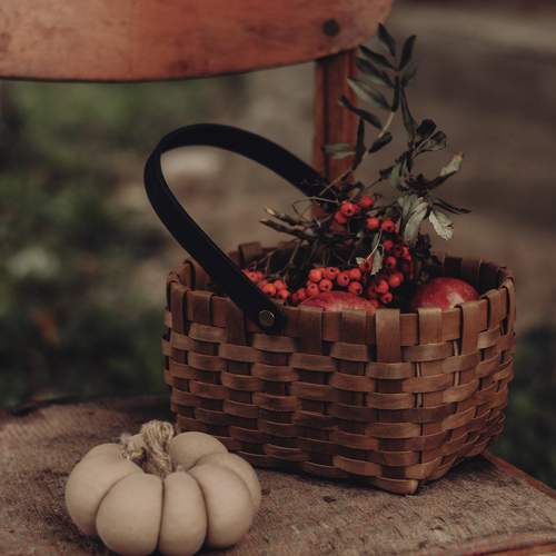 Photo #9891060