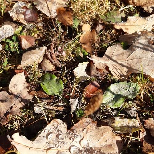 Photo #9891129