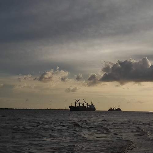 Photo #9891149