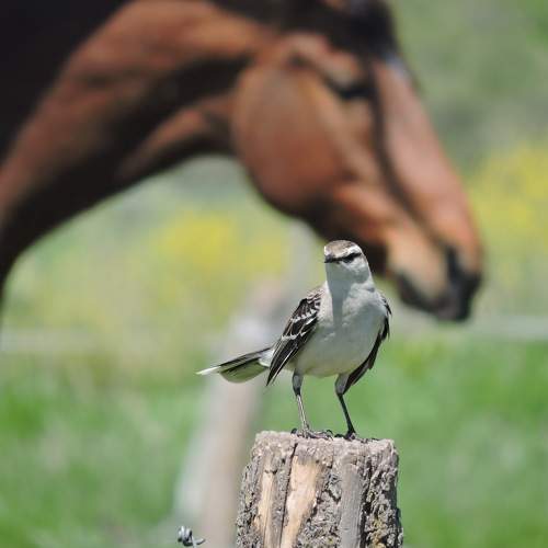 Photo #9891618