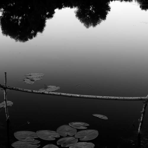 Photo #9891634