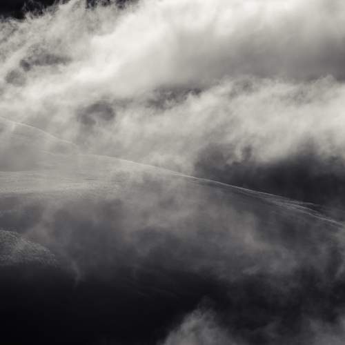 Photo #9891683