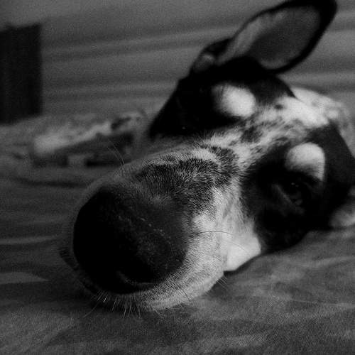 Photo #9891904