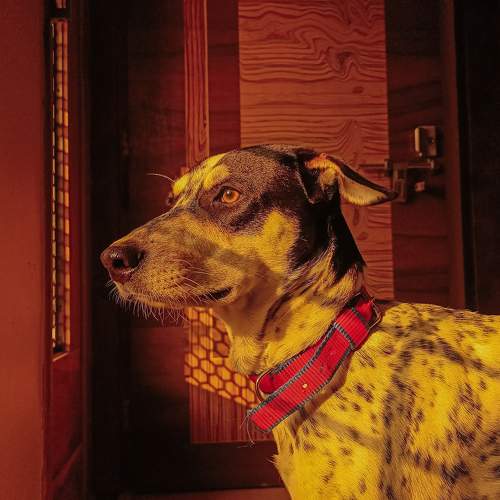 Photo #9891910