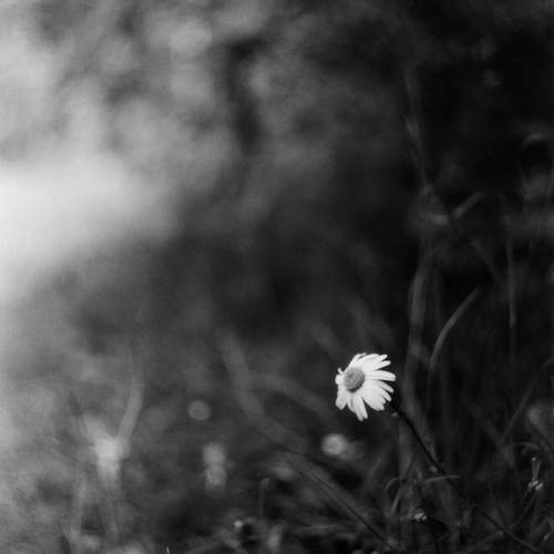 Photo #9891942