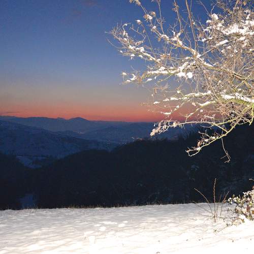 Photo #9892380