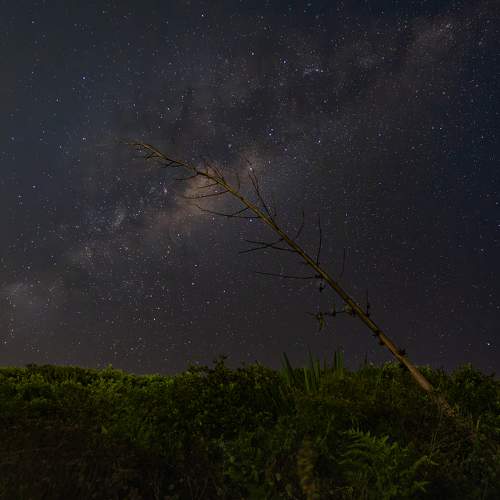 Touching the sky