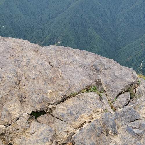 Photo #9892712