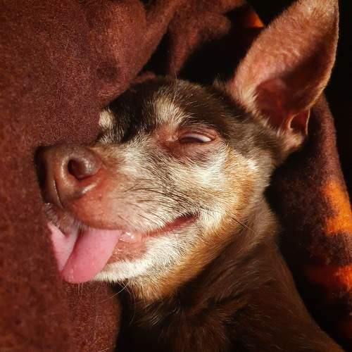 Photo #9892994