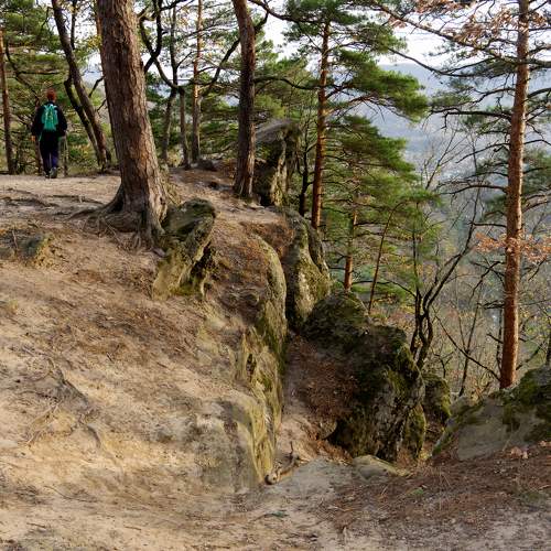 Photo #9893380