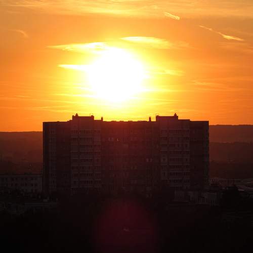 Photo #9893556