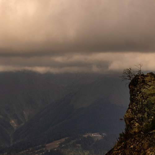 Photo #9893585