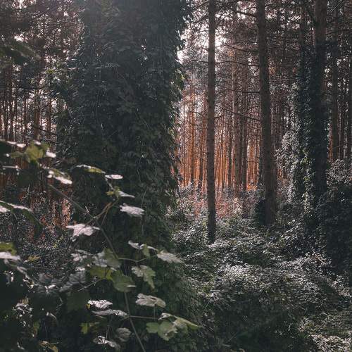Photo #9894435