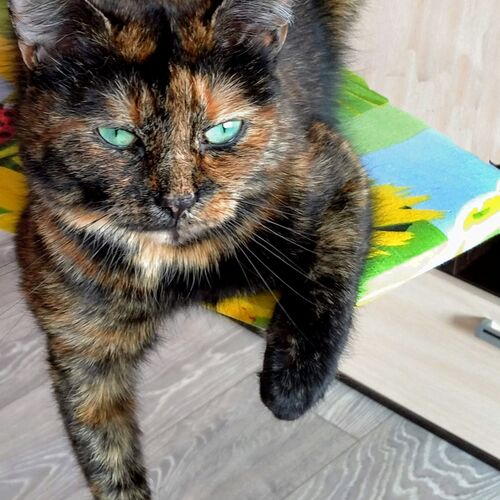 Photo #9894830
