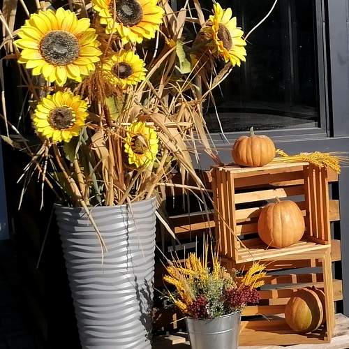 Photo #9896249