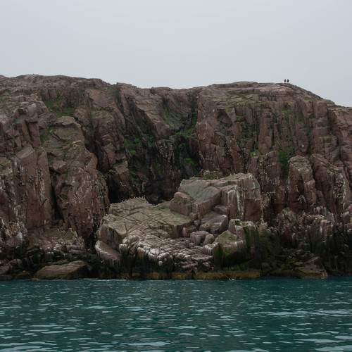 Photo #9896420