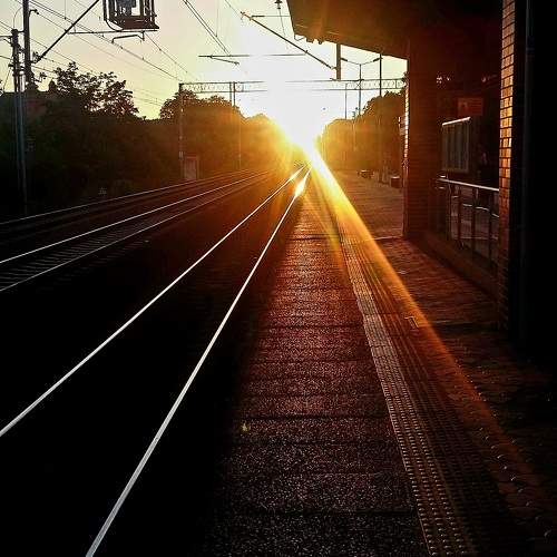 Photo #9896566