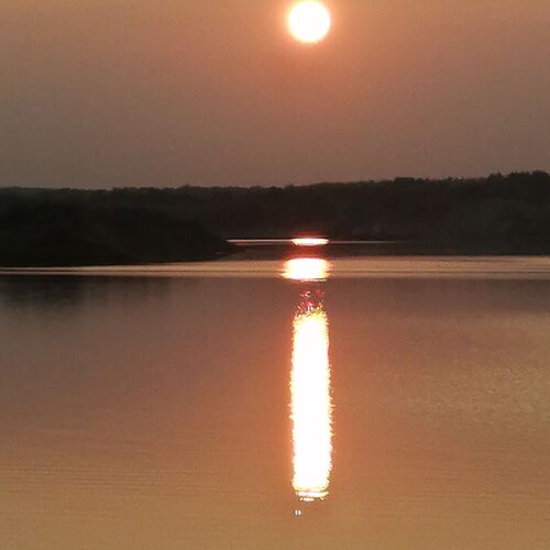 Photo #9896630