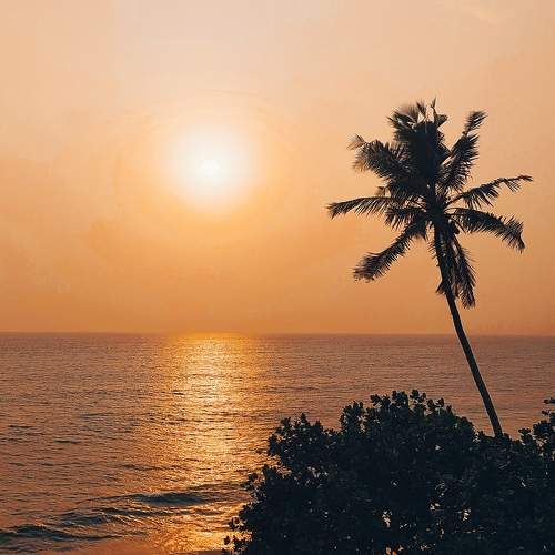 Photo #9896777