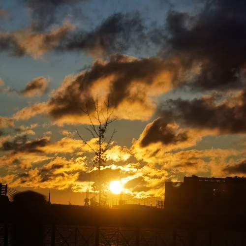 Photo #9897107