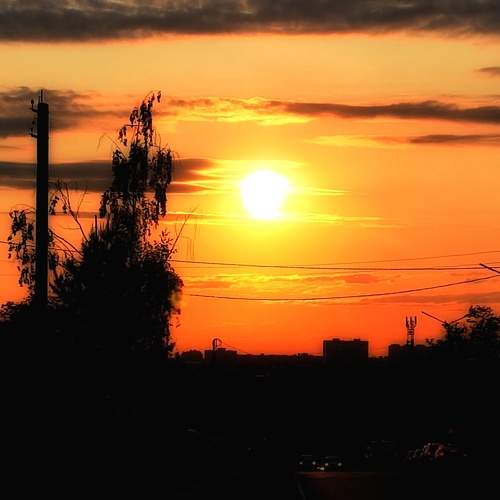 Photo #9897332