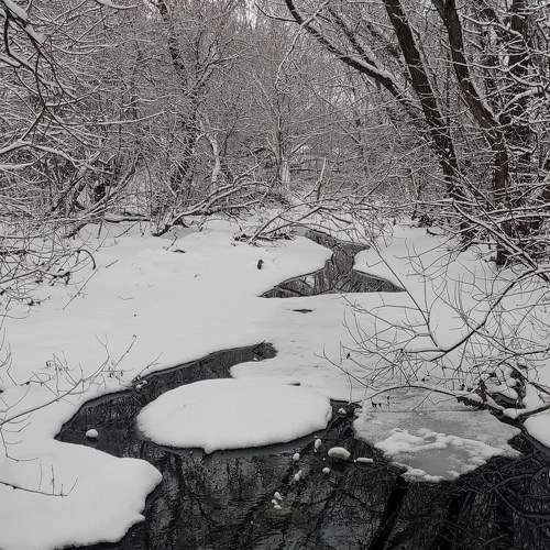 Photo #9897470
