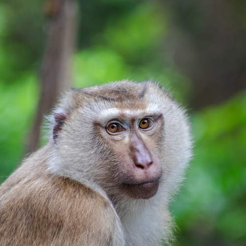 Photo #9897762