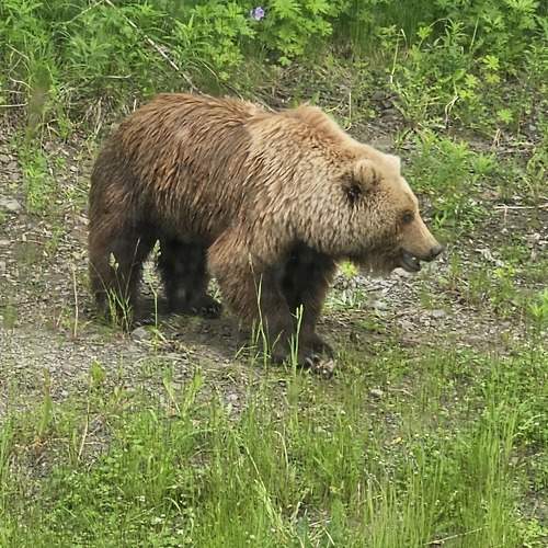 Photo #9897936
