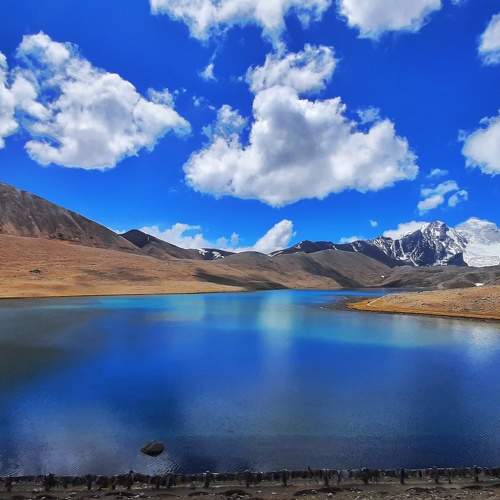 Photo #9898089
