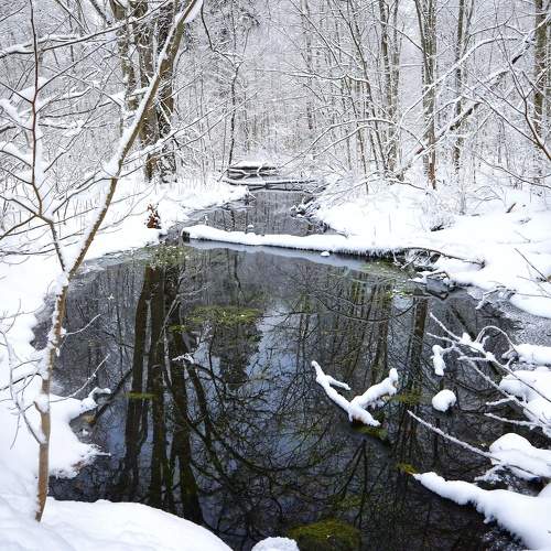 Photo #9898177
