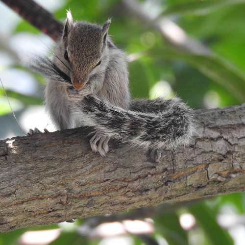 Photo #9898493