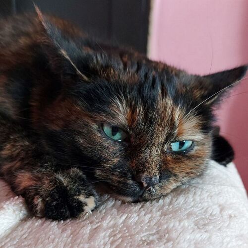 Photo #9898499