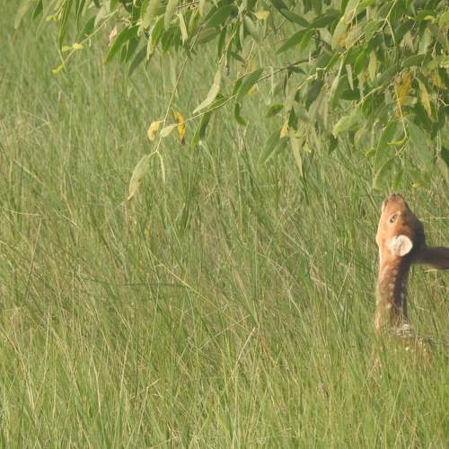 Photo #9898509