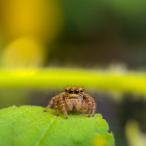 Photo #9898523