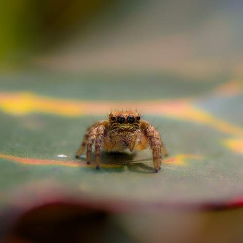 Photo #9898524