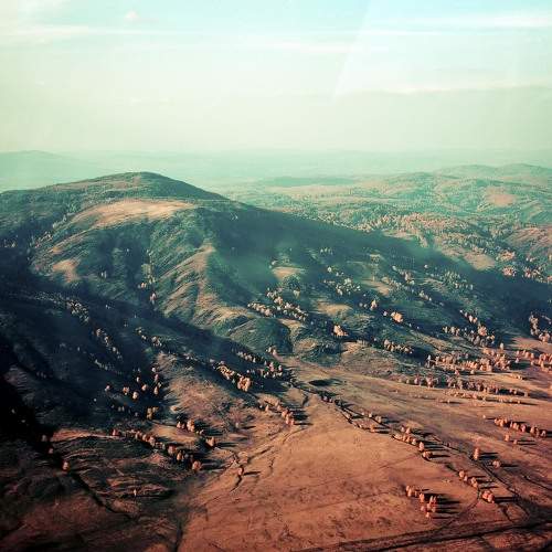 Photo #9898778