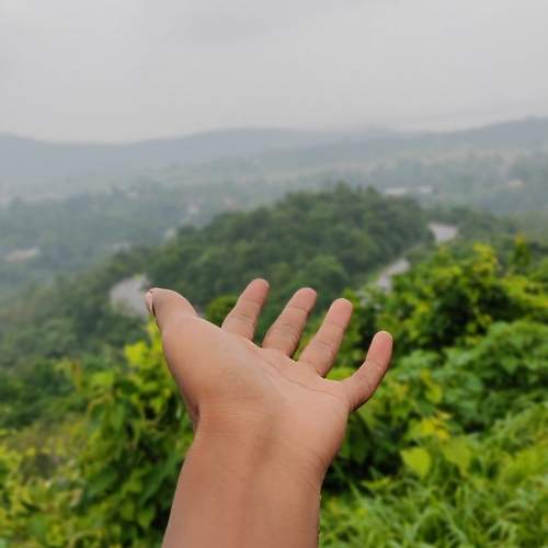 Photo #9898789