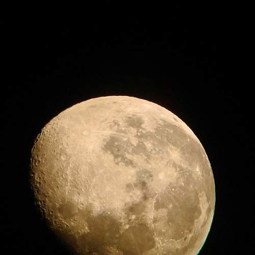 Photo #9899048