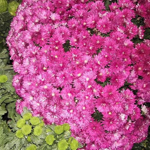 Photo #9899426