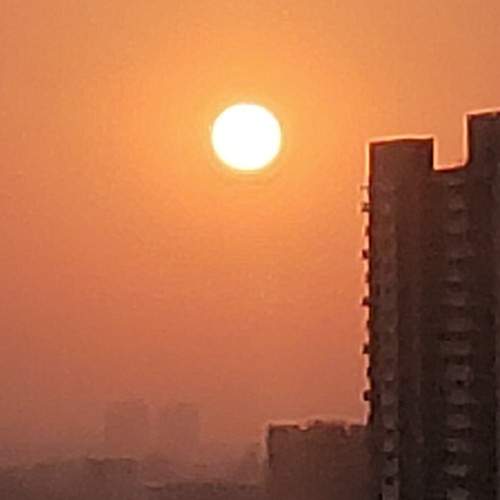 Photo #9899459