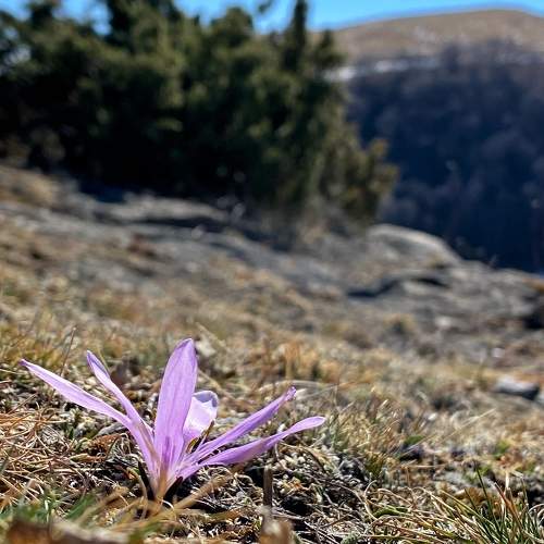 Photo #9899855