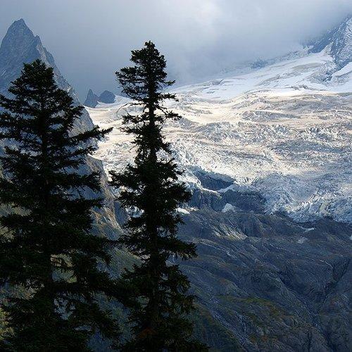 Photo #992112