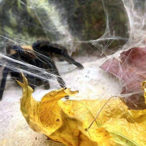 Photo #9900142