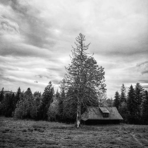 Photo #9900337