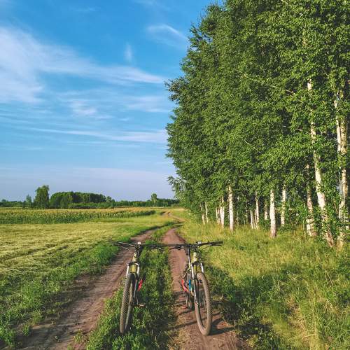 Photo #9900530